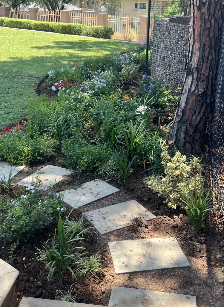 Landscape Design Johannesburg Pretoria