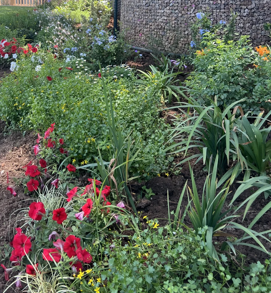 Landscape Design Johannesburg Pretoria