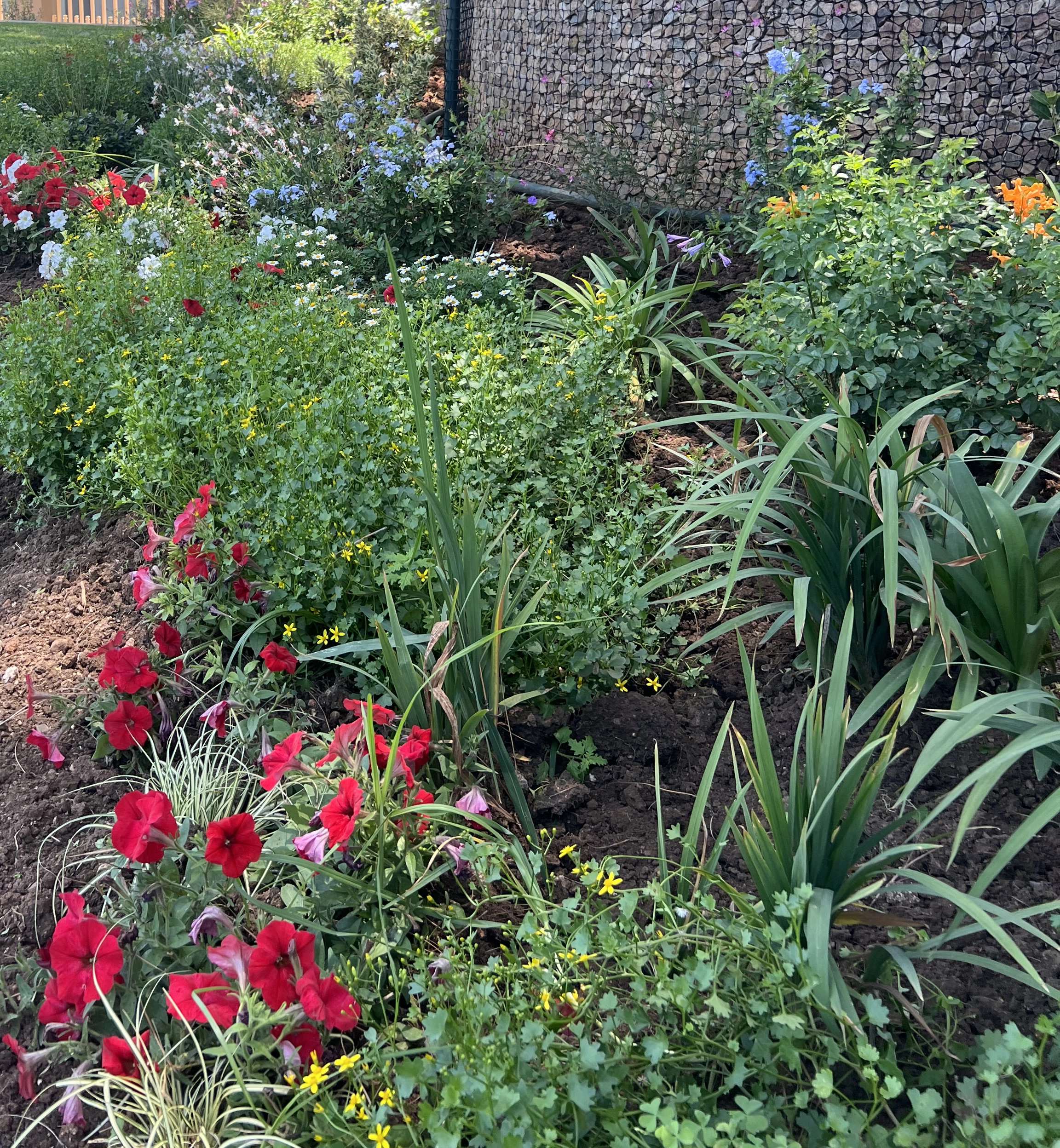 Landscape Design Johannesburg Pretoria