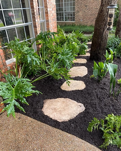 low-maintenance garden