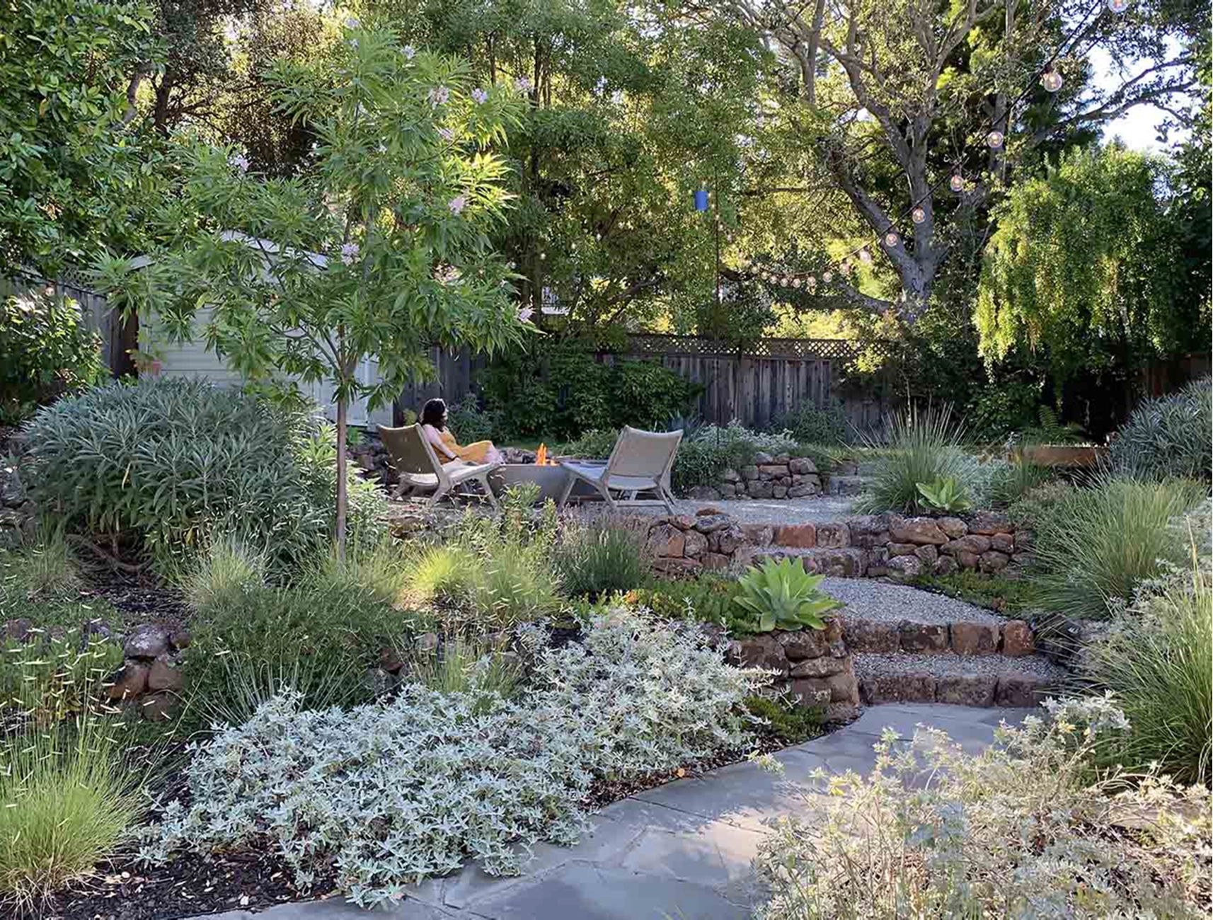 Water Wise Gardens