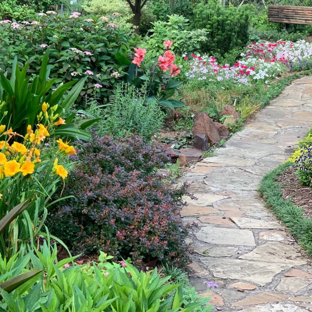 low maintenance garden