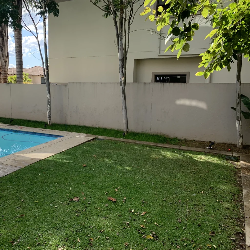 low maintenance garden with reduced law size