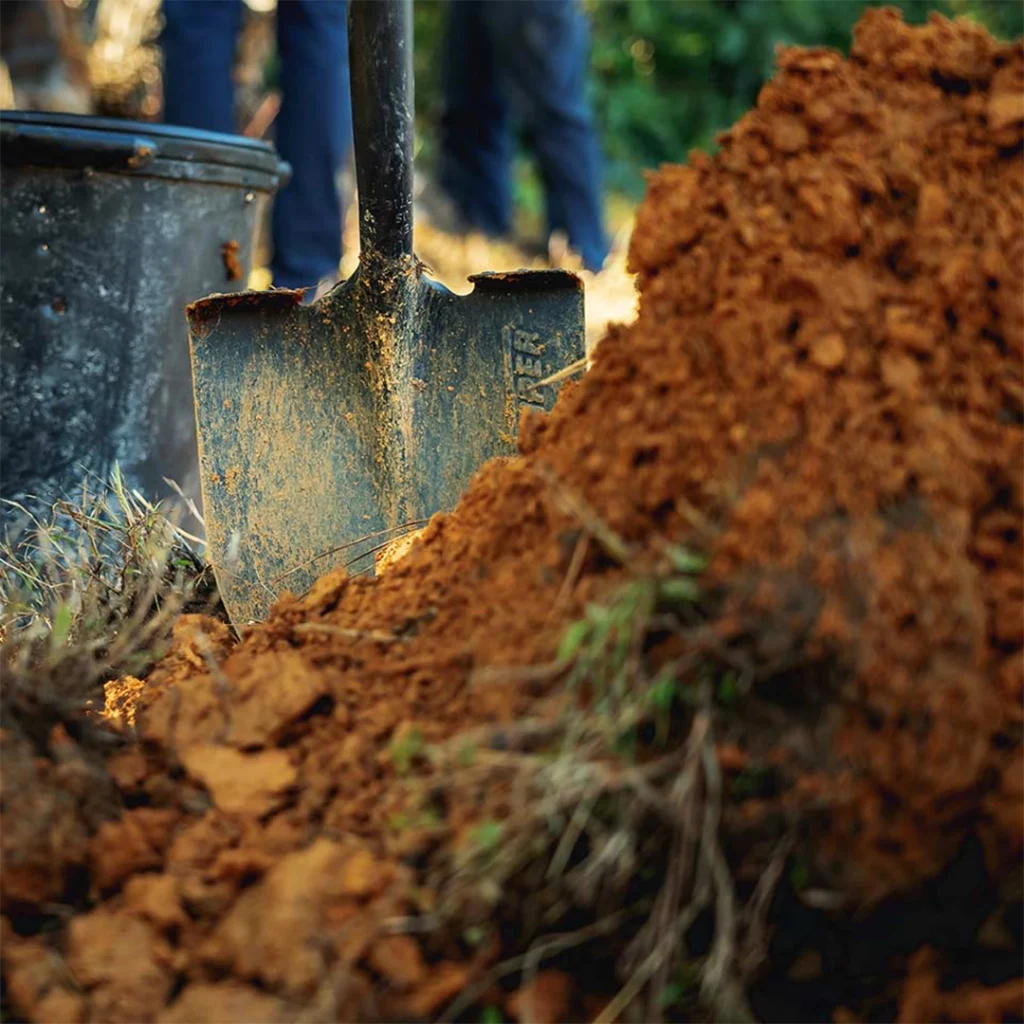 Improve Soil Quality