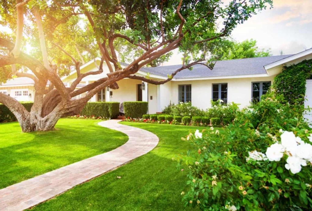 beautiful landscaping