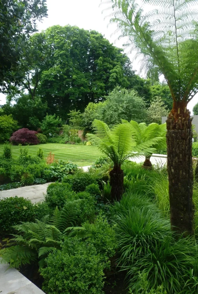 landscaping 2