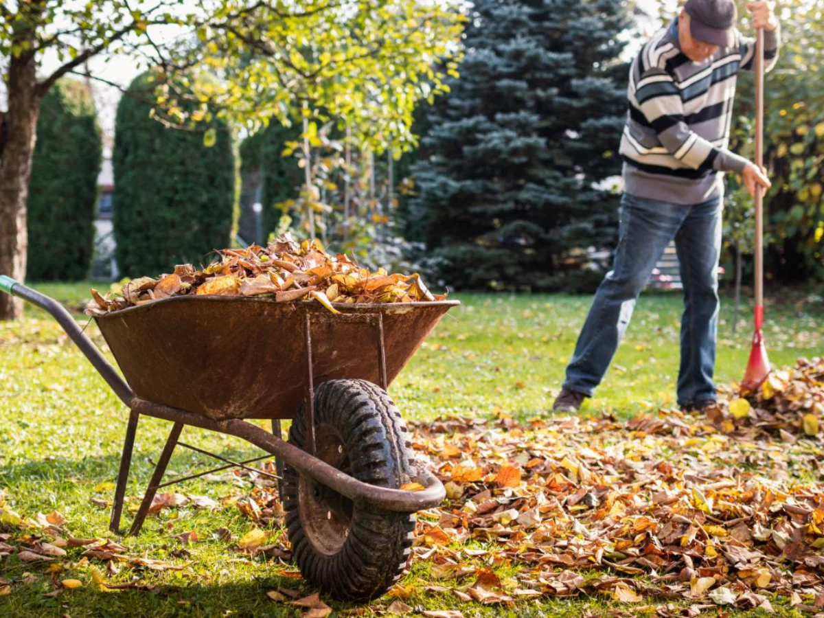 Autumn Garden Clean-Up Gauteng