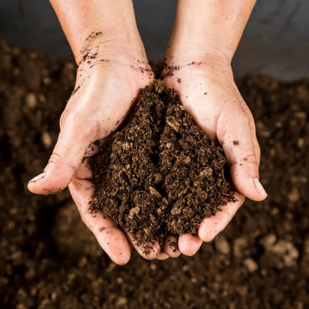 Compost