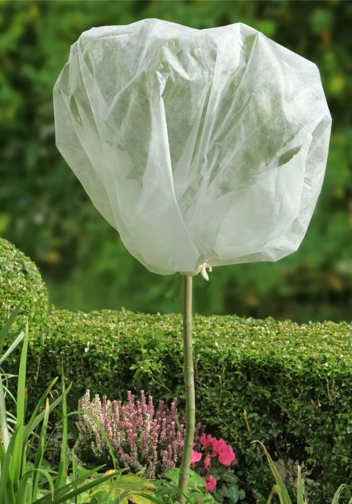 Autumn Garden Clean-Up Gauteng frost protection