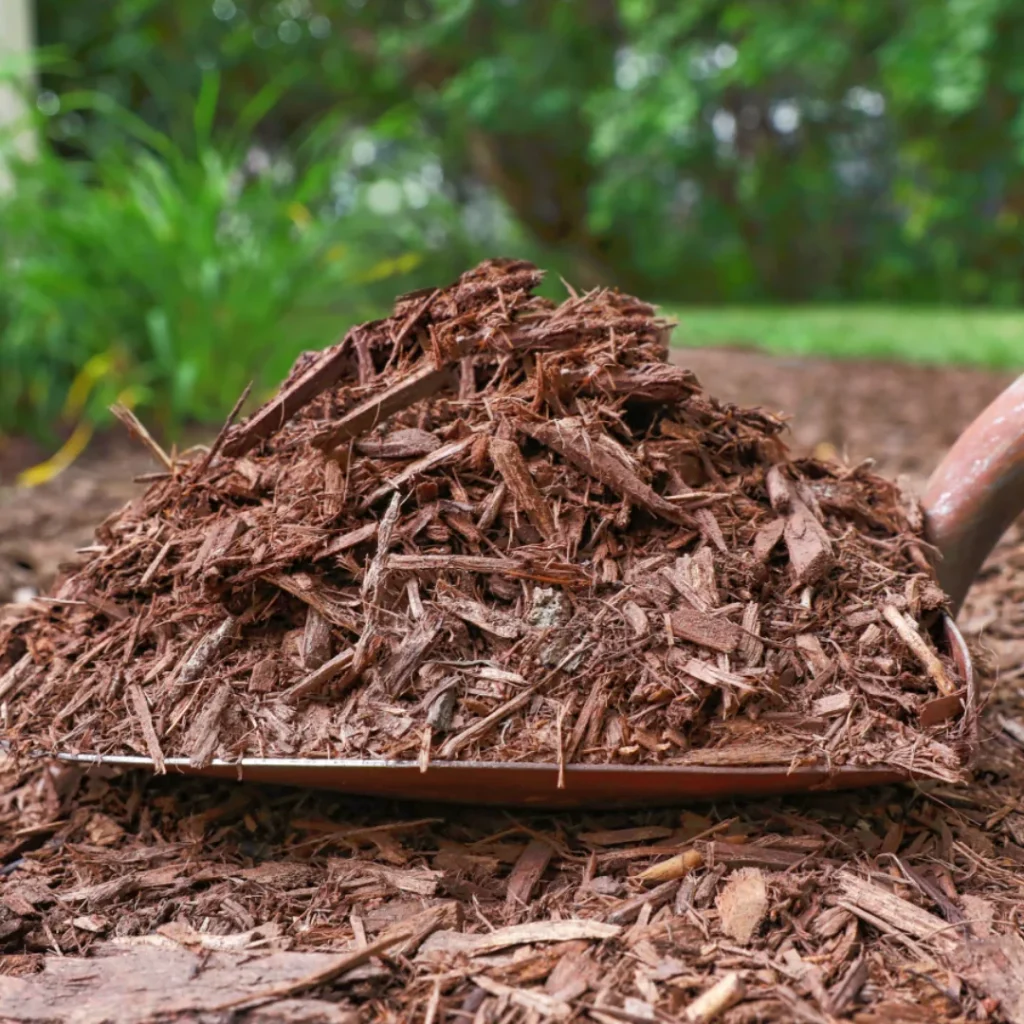 Mulch Autumn Garden Clean-Up Gauteng Mulching