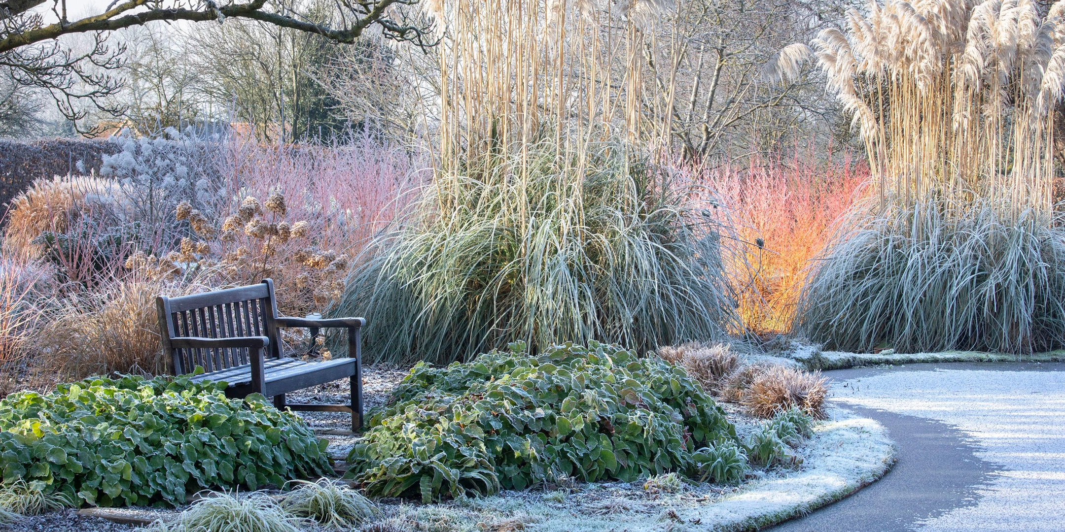 all-season garden design defined pathways and elegant edging